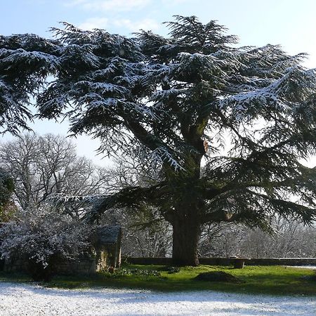 Domaine De Lamassas Bed & Breakfast Hautefage-la-Tour Bagian luar foto