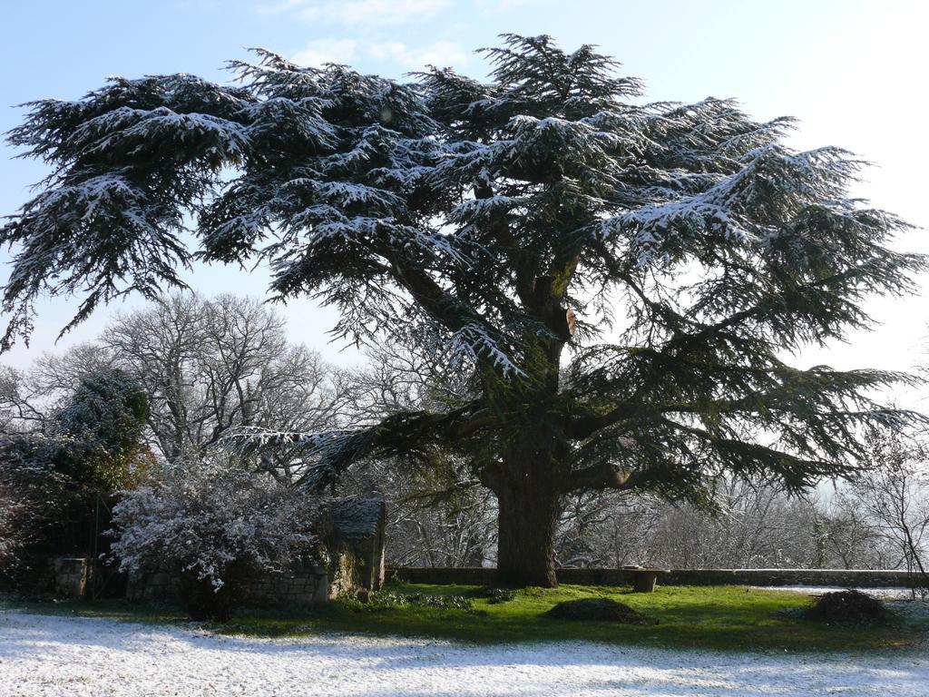 Domaine De Lamassas Bed & Breakfast Hautefage-la-Tour Bagian luar foto
